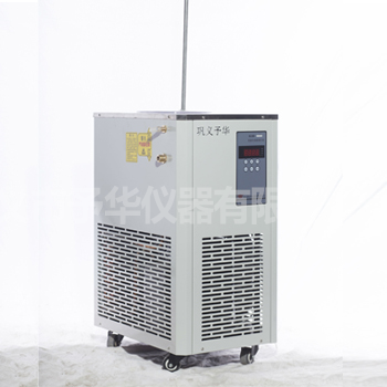 DLSB-10L低温冷却液循环泵